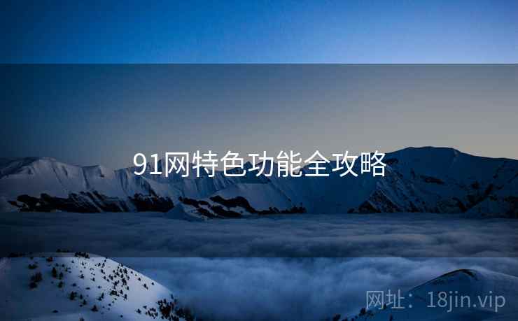 91网特色功能全攻略