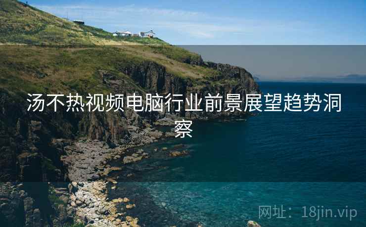 汤不热视频电脑行业前景展望趋势洞察