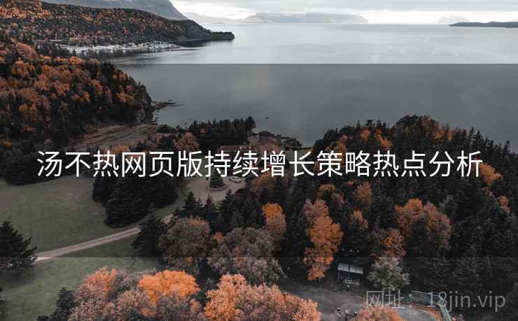 汤不热网页版持续增长策略热点分析