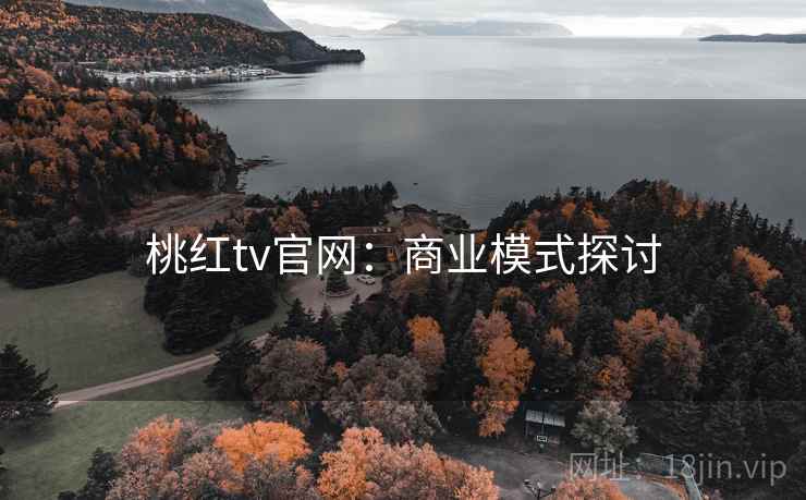 桃红tv官网：商业模式探讨