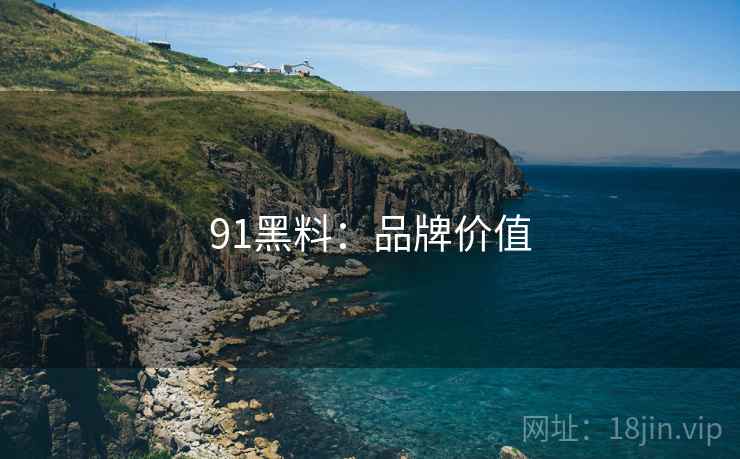 91黑料：品牌价值