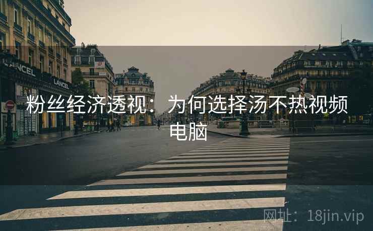 粉丝经济透视：为何选择汤不热视频电脑