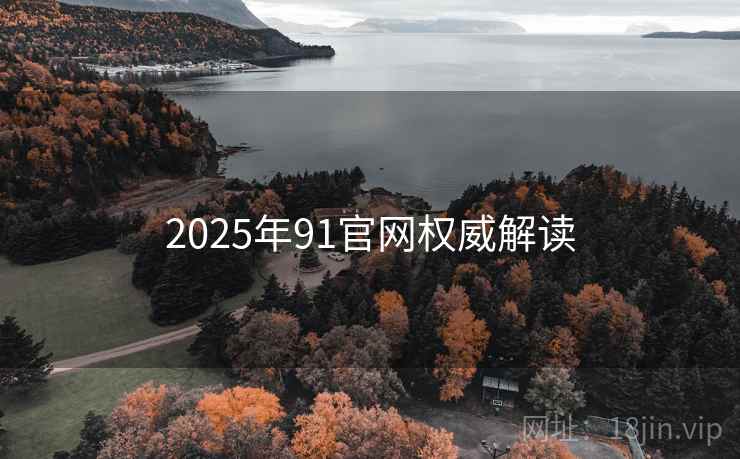 2025年91官网权威解读