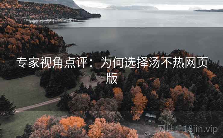 专家视角点评：为何选择汤不热网页版