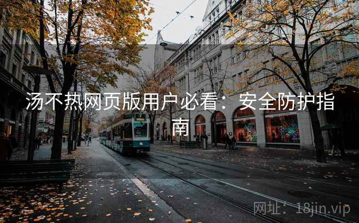 汤不热网页版用户必看：安全防护指南